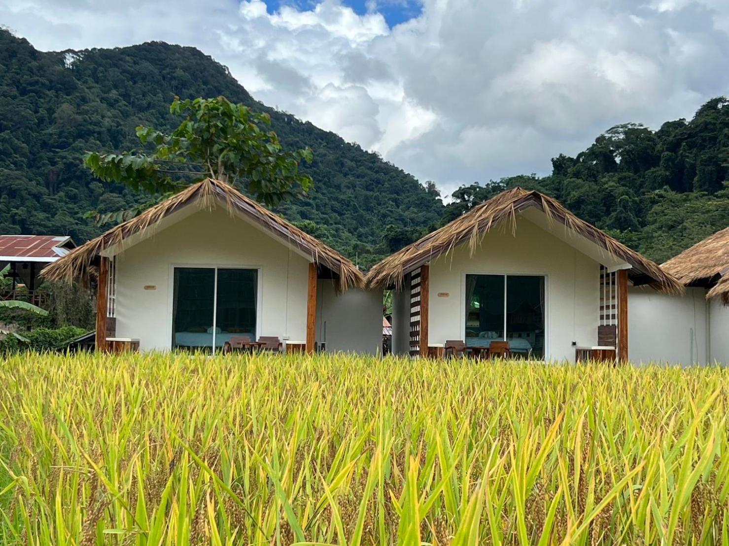 สะปันดีวิว Sapan Dee View บ่อเกลือ น่าน Apartamento Ban Huai Ti Exterior foto